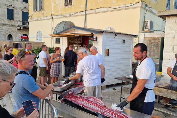 (Snimila Nina Orlović Radić) (Snimila Nina Orlović Radić)